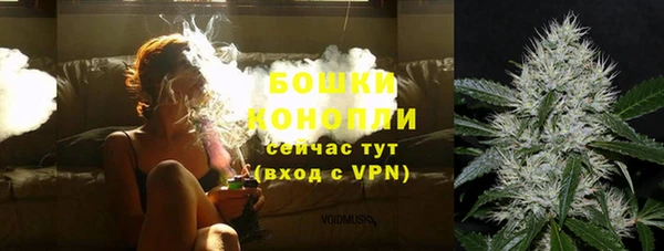 гашик Аркадак