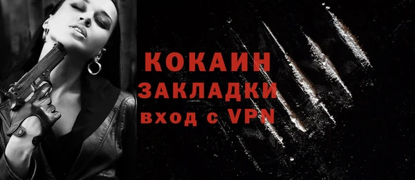 гашик Аркадак