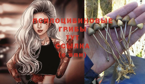 синтетический гашиш Армянск