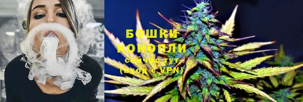 гашик Аркадак